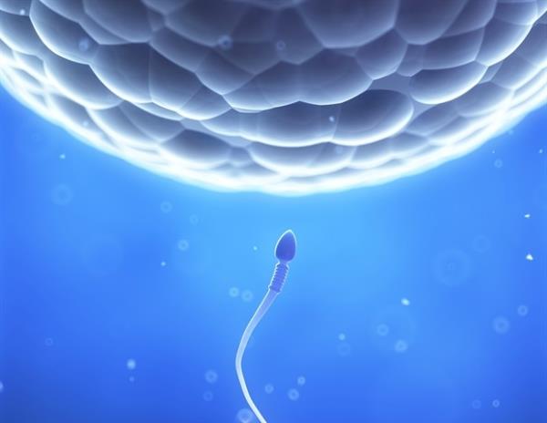 研究表明，卵子冷冻技术增强了女性的生殖自主权