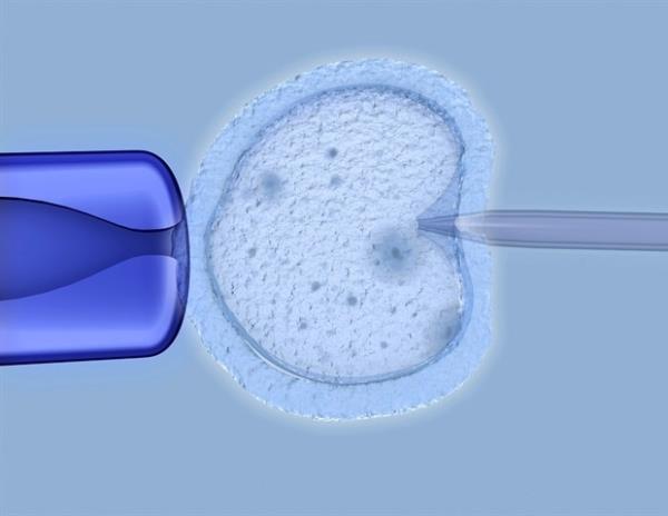 利用基因筛选来选择试管婴儿中“最好的”胚胎
