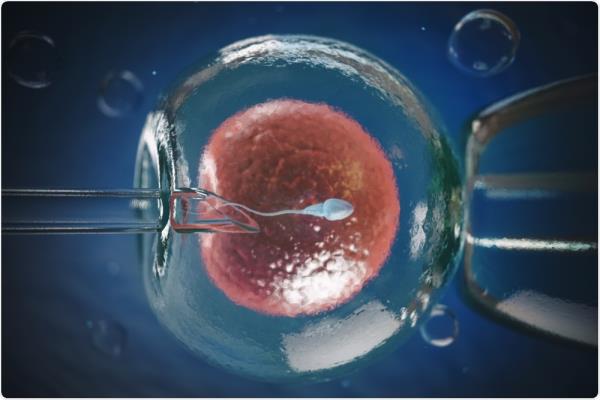 通过精子细胞成像改进体外受精治疗