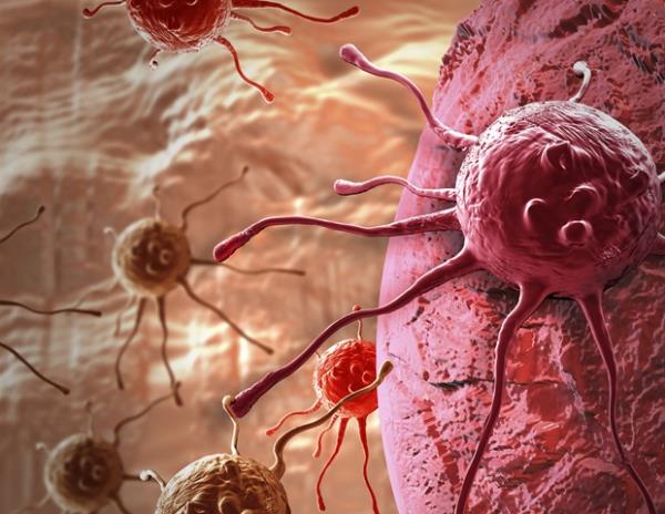 这项新发现可能为更有效的癌症免疫疗法铺平道路