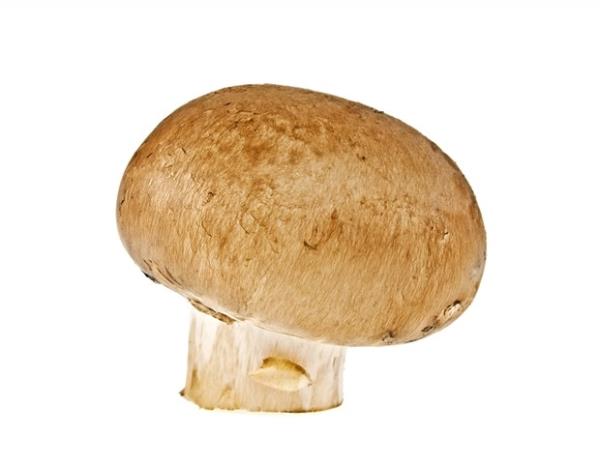 研究表明，香菇提取物在治疗精神疾病方面具有优越的疗效