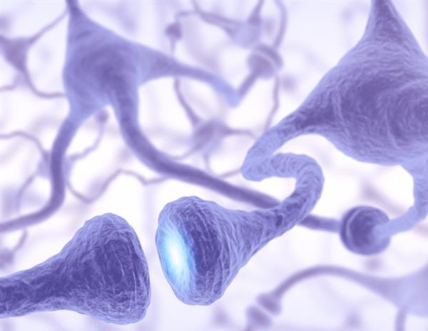 人类神经元模型确定阿尔茨海默病的潜在治疗靶点