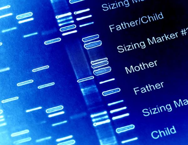 研究人员开发了第一张疾病相关DNA重复序列的遗传图谱