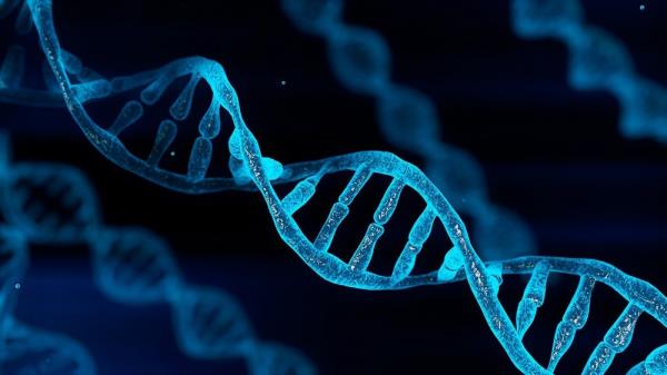 基因组单倍错揭示了流产的复杂遗传景观