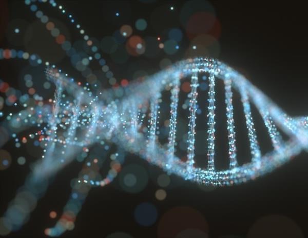研究人员分析基因组如何影响人类健康