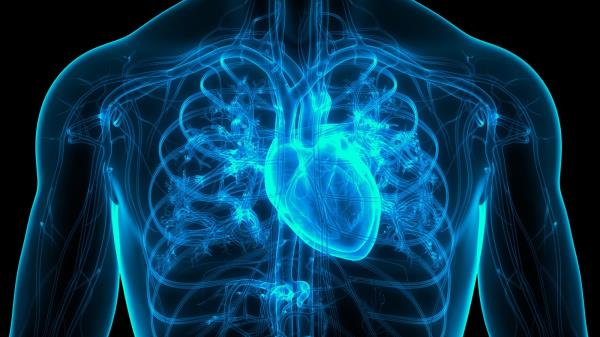 在过去的20年里，心房颤动风险的上升趋势增加了人们对相关心脏和中风并发症的关注
