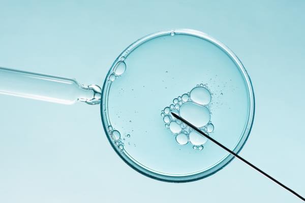 辅助生殖中精子选择的人工智能