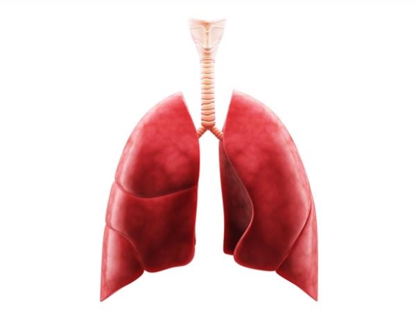 人体迷你肺模拟动物对纳米材料的反应