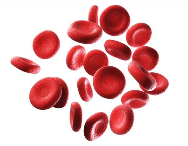 酶的发现为发展通用献血者铺平了道路