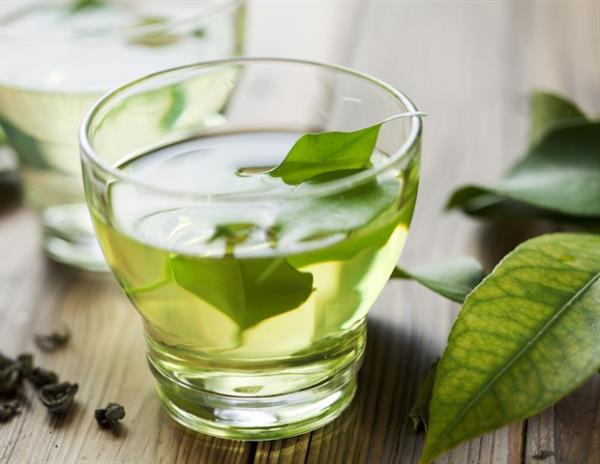 绿茶可能会抵消癌症疗法硼替佐米的抗癌作用