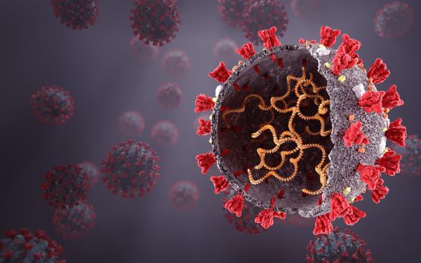 研究警告称，新的SARS-CoV-2 KP.2变体无法抵抗具有更高传播性的疫苗